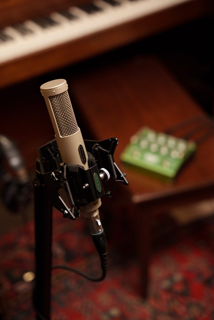 Royer r12 - acoustic