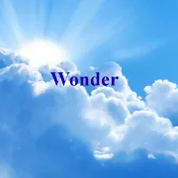 Wonder album art